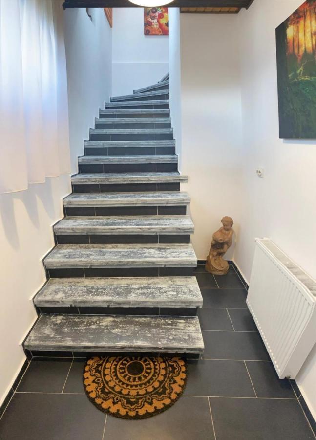 Apartament Ella Râșnov Zewnętrze zdjęcie